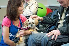 All their rescued dogs are examined by a vet, vaccinated, spayed or neutered, and. Volunteer With Your Pet San Diego Humane Society