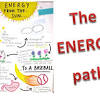 Get, create, make and sign cellular respiration gizmo answer key. 1