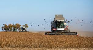 Astfel avem hectarul (ha), pogonul, etc cati m2 are un ha? La Ce PreÈ› Se Vinde PÄƒmantul In Moldova Detalii