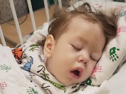 Fundraiser by Arin Miller : #curekrabbe