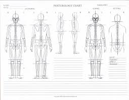 10 Posturology Chart Blank Posture Posture Chart Pdf
