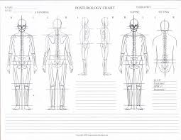 10 posturology chart blank posture posture chart pdf