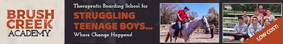 The best alternative to boarding schools for troubled youth in florida. Low Cost Boarding Schools 2021 Affordable Boarding Schools
