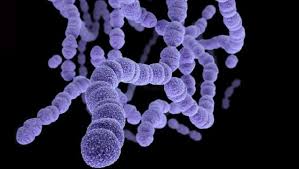 Kak I Chem Lechit Streptokokk V Gorle U Rebenka I Vzroslogo Gorodskaya Klinicheskaya Bolnica 1