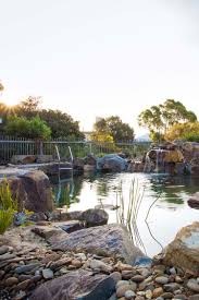 Natural Swimming Pools Billabongs Ponds And Waterfalls From Swimming Pools Natural Swimming Pools Water Garden