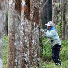 Contextual translation of ladang getah into english. Yt Ladang Getah Service Posts Facebook