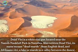 They can hold up to 53 gallons of water at a time. Unique World Dead Vlei Is A White Clay Pan Located Near Facebook