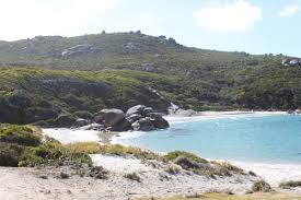 Nothing more represents this fact than the 350 miles of golden beaches along for campers, you'll find amazing wildlife and some of the best birdwatching in the country. 8 Best Spots For Free Camping In Wa Updated For 2021