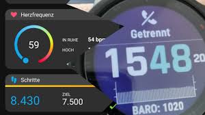Garmin Fenix 6 Enabling And Disabling Notifications And Bluetooth Warnings Youtube