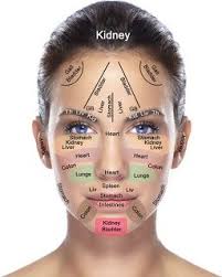 Face Mapping What Your Skin Says Acupressure Reflexology