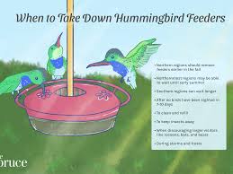 Maybe you would like to learn more about one of these? When To Stop Feeding Hummingbirds
