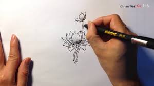 It is common in the southern regions of the. Lotus Is The National Flower In Vietnam Learn How To Draw Lotus Easily Youtube