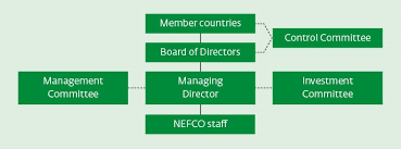 Our Governing Bodies And Management Nefco