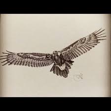 We did not find results for: Drawing Eagle Ray Tattoo Novocom Top