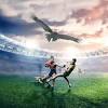 The best gifs for west coast eagles. Https Encrypted Tbn0 Gstatic Com Images Q Tbn And9gctgwbxw 6tukohxhdnzhifxmydz8j3ksxuc7cysjmu Usqp Cau