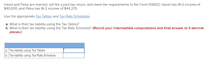 solved havel and petra are married will file a joint tax