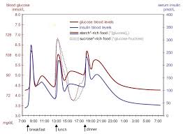 Self Monitoring Measurement Of Blood Glucose Smbg Dr