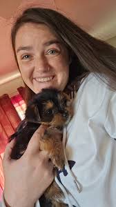 Yorkie Puppy Growth and Care