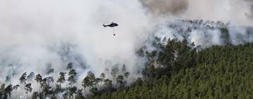 Schauen sie sich gästebewertungen an und buchen sie ein hotel am strand für ihre reise. Waldbrand Brandenburg Aktuell Feuer Erreicht Rote Zone Mit Alter Munition
