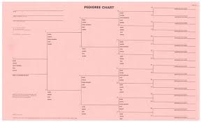 Pedigree Chart 5 Generation Pink