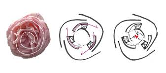 Concept Idee Transfert Adaptation Concept Models Architecture Architecture Design Concept Architecture Concept Diagram
