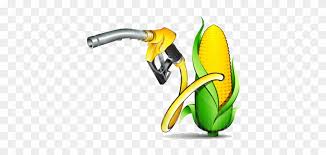 Find & download free graphic resources for biomass energy. Biomass Clipart Biomass Free Transparent Png Clipart Images Download