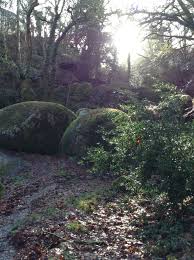 Epingle Par Christine Moguerou Sur Huelgoat Huelgoat Foret Bretagne