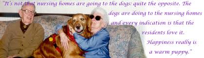 Animals helping people animals can serve as a source of comfort and support. Therapy Animals Animals Helping People