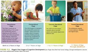 Typical Child Development Cognitive Development Human Development Child Development Theories