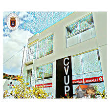 Clínica Veterinaria Unipamplona