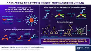 What Makes Phospholipids Amphipathic Molecules? - Quora