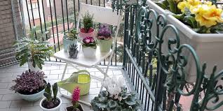 Chiediamoci quali sono le esigenze delle piante e cerchiamo di rispettarle. La Mia Terrazza In Fiore Pronta Per La Primavera Il Giardino Di Veca