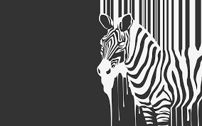 Wallpapers Full Hd Para Pc Zebra Wallpaper Animal Art Zebra