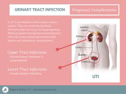 Utis And Bv During Pregnancy Risks To The Baby