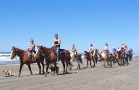 Check spelling or type a new query. Horseback Riding On The Beach Visit Long Beach Peninsula