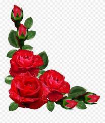 Red Rose Flower Border Design Flowers Di 2020 Bunga Mawar Merah