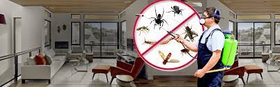 Some pest control companies have catchy contracts or lackluster service plans, but ehrlich offers one of the most comprehensive protection plans in the industry. All In One Pest Control Termites