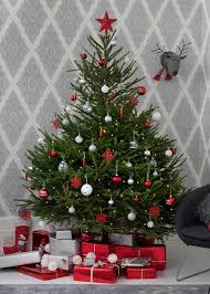 Real Christmas Trees How To Buy Decorate And Care For Your Fir Elegant Christmas Trees Real Christmas Tree Elegant Christmas Tree Decorations