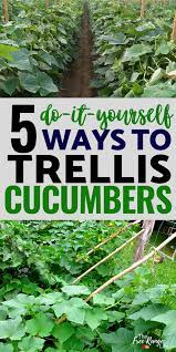 5 Easy Diy Cucumber Trellis Ideas Cucumber Trellis Cucumber Gardening Garden Layout Vegetable