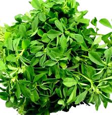 This herbal plant was called by many names such as waterleaf, florida spinach, lagos bologi and sweetheart. Efo Gbure Waterleaf Fresh To Dommot