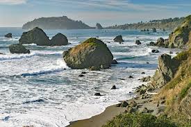 Plenty of rocks, starfish, anemone, etc. 11 Top Rated Things To Do In Trinidad Ca Planetware