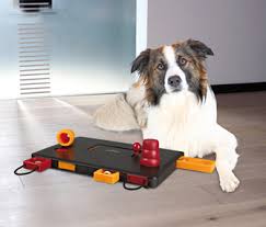Check spelling or type a new query. Will Food Puzzles Work For My Finicky Dogs And Cats