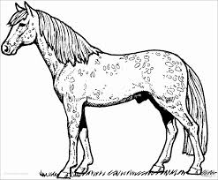 In this sebepe, as the okuloncesihersey.net team, we have prepared for you the horse coloring pages that your children will love without getting bored. Horse Coloring Page Coloringbay