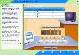 Solved Virtual Lab Enzyme Controlled Reactions Beatlamatan Chegg Com