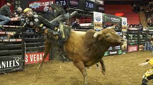 Contestant assumes all responsibility to comply with state law. This 19 Year Old Cowboy Made 117 000 For 32 Seconds Of Work Youtube