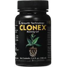 What'S My Favorite Rooting Hormone For Propagating Plants? - Youtube