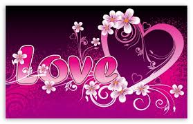 Image result for The definition of Love image