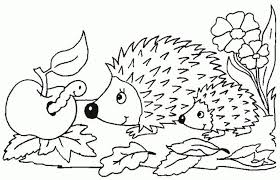 Mit unserer igel vorlage zum ausdrucken schaffst du das in wenigen minuten. Igel Malvorlagen Kostenlos Coloring And Malvorlagan