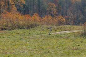 Framed for Freedom: Bureau of Land Management Eastern States and the Legacy of National Historic Trails