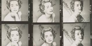 Image result for Felicia grantii